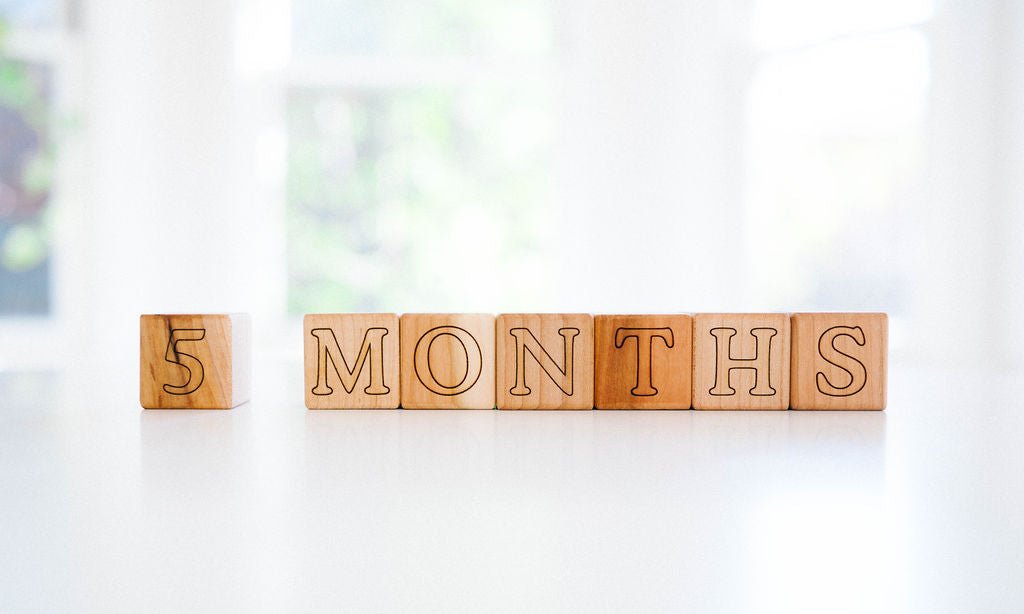 Bump & Baby Milestone Blocks - Bannor Toys