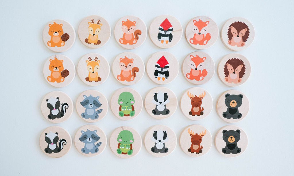 Matching Game Bundle - Bannor Toys
