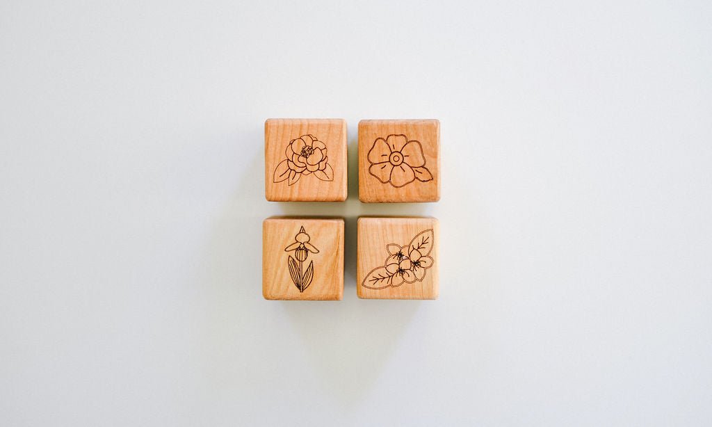 USA State Blocks - Bannor Toys
