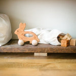 Bunny Push Toy - Bannor Toys