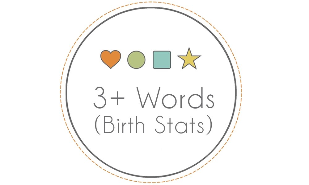Personalization - 3+ Words / Birth Stats - Bannor Toys